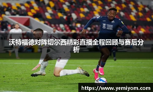 金年会